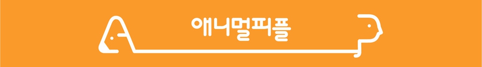 그린디자이너 ‘라운드트라이앵글’이 제작한 <애피> 로고. 오렌지색은 동물의 살갗, 생명을 키우는 태양의 에너지를 상징한다.사람과 동물을 잇는 장면을 형상화했다. 