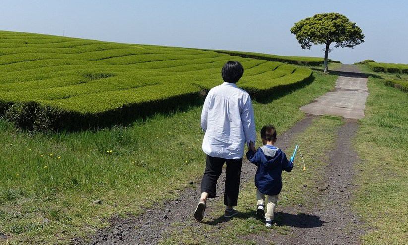 봄에는 고사리 뜯고 여름엔 솜반천에 ’풍덩’, 제주로 오실래요?