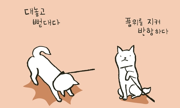 10년을 그려도 모자란, 시바견의 심쿵 매력