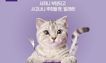 옷부터 가전·여행용품까지…렌탈도 맞춤형 시대