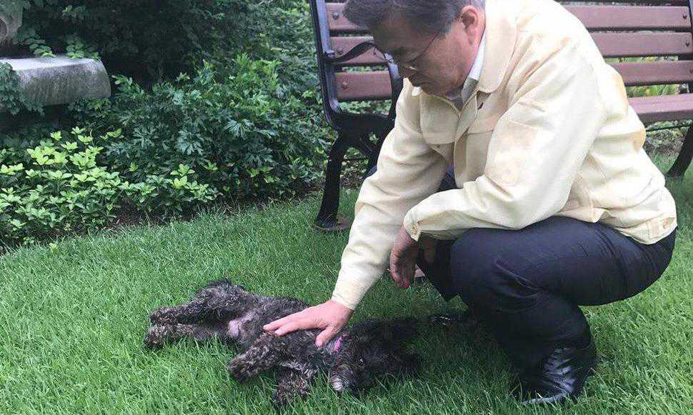 문 대통령, 인스타에 토리 자랑…“마루랑도 제법 친해져”