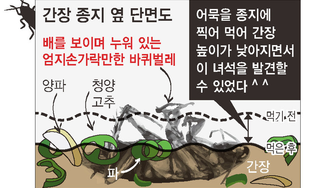 [ESC] 놀이동산에서 만난 무서운 그 놈