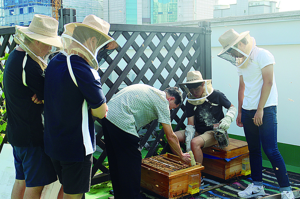 위잉위잉 팀은 이날 몽실학교 옥상에서 김상현 양봉사와 양봉 벌통 내부검사를 했다. 최화진 기자