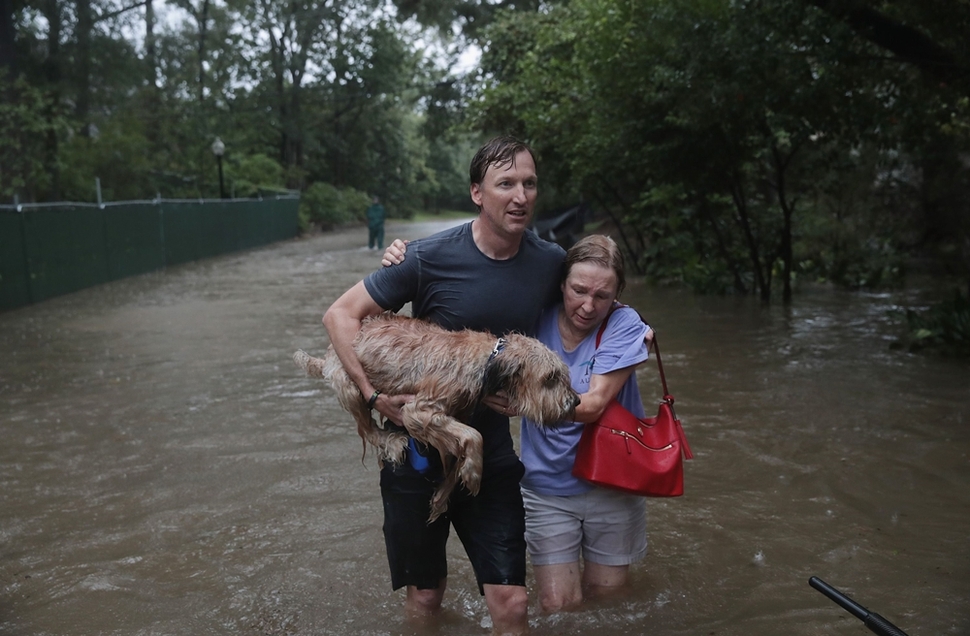 홍수 피해 지역 주민들이 반려견과 함께 대피하고 있다. AFP Getty Images 연합뉴스