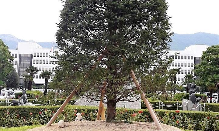 “경남도 채무제로 기념나무 정리하라”