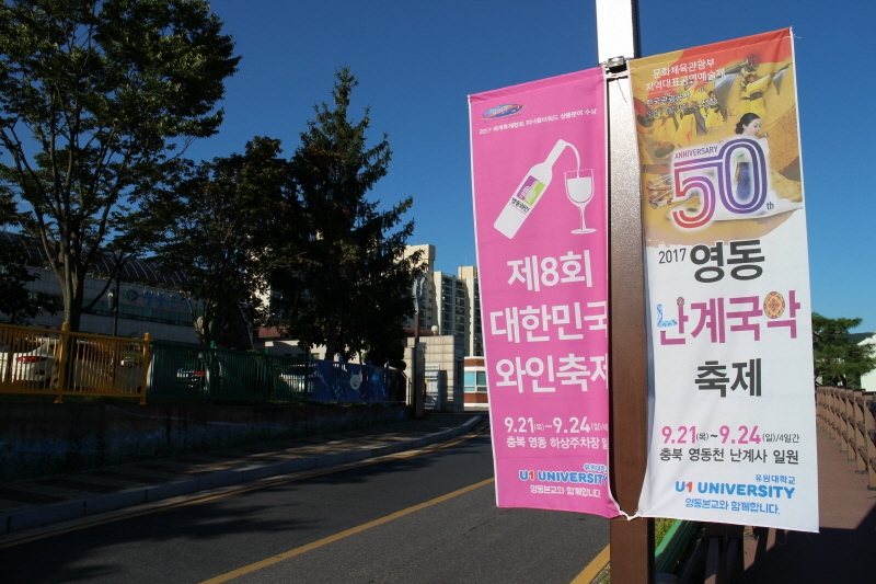 50회 난계 국악축제와 8회 대한민국 와인 축제를 알리는 거리 펼침막.영동군청 제공