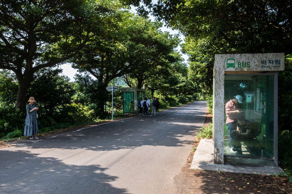 제주 동부지역 관광지 순환노선에 있는 비자림 정류장에서 관광객들이 관광객 순환버스를 기다리고 있다.