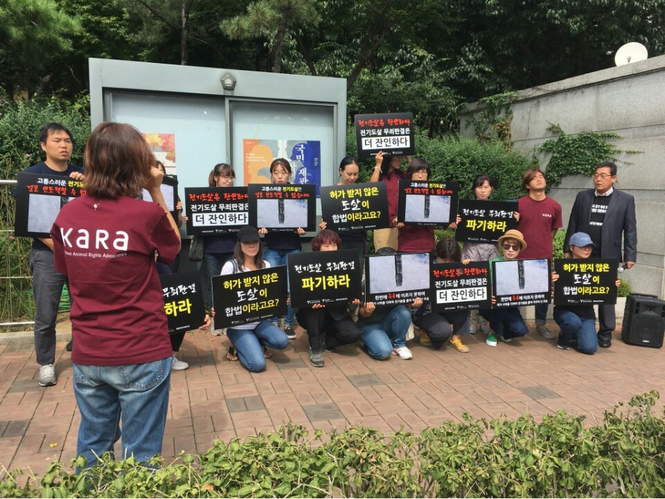 동물보호단체 회원들이 28일 서울 서초구 법원삼거리 앞에서 ‘전기 도살 사건’ 2심 무죄 선고에 항의하고 있다. 동물보호시민단체 카라 제공