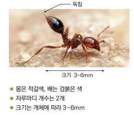 농림축산검역본부 제공