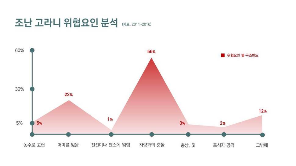 충남야생동물구조센터가 6년간 구조한 고라니의 조난 원인을 분석해 보았다. 차량과의 충돌이 과반을 넘을 정도로 큰 영향을 끼치는 것을 확인할 수 있다.