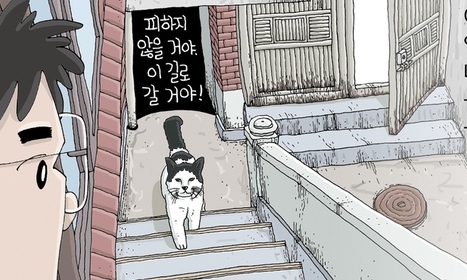 [김수박의 민들레] 길고양이