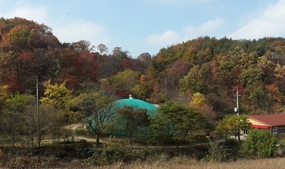 해충이 한 마리도 없는 세상은 완벽할까