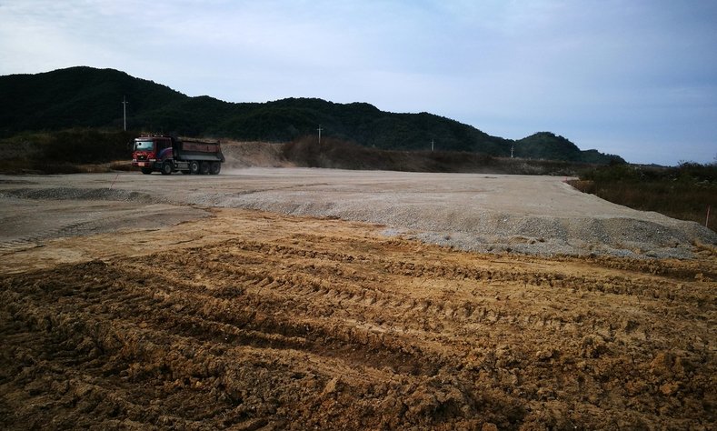 멸종위기 ‘금개구리’ 서식지, 야적장 됐다