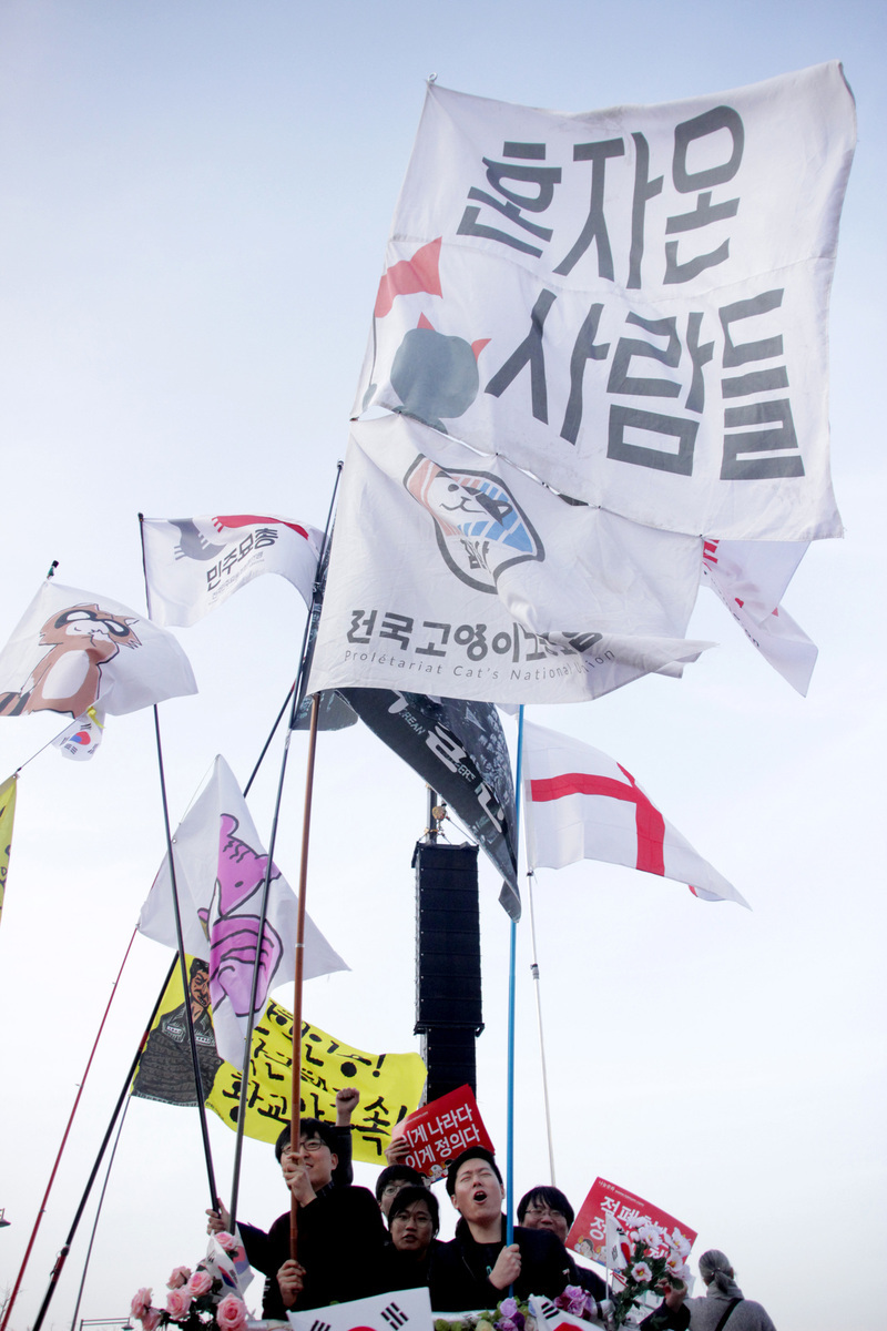 지난해 11일 20차 촛불집회에 나온 ‘혼자 온 사람들' 회원들이 서울 광화문광장에서 각자 가져온 깃발을 흔들며 환호하고 있다.     오용섭씨 제공
