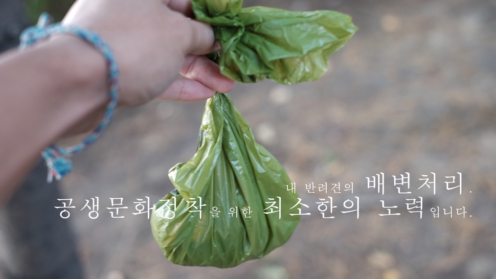 야외에서 개가 배설을 한다면 보호자가 직접 비닐봉지에 담아 버려야 한다.