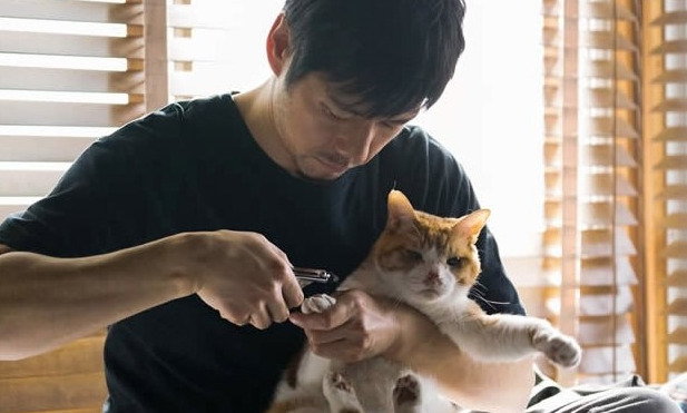 세상에 나쁜 동물은 없다