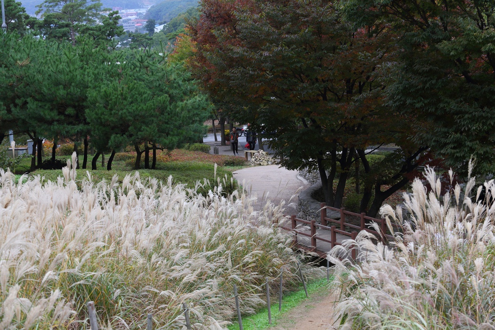 용인의 자연휴양림은 도심에서 가까운 캠핑장으로 인기가 높다. 휴양림 매표소에서 잔디광장까지 도보로 1시간30분이 걸린다.