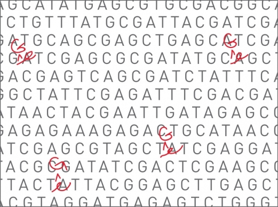 흔히 디엔에이(DNA)는 생명 정보를 담은 ‘책’에 비유되곤 한다. 아르엔에이(RNA)와 디엔에이에서 특정 염기 하나만을 바꿔 쓰는 새로운 염기 편집 기법이 최근 잇따라 개발됐다. 염기 편집 기법이 아르엔에이와 디엔에이에서 염기 낱글자 하나를 교정할 수 있음을 표현한 그림들. 매사추세츠공대-하버드대 브로드연구소 제공