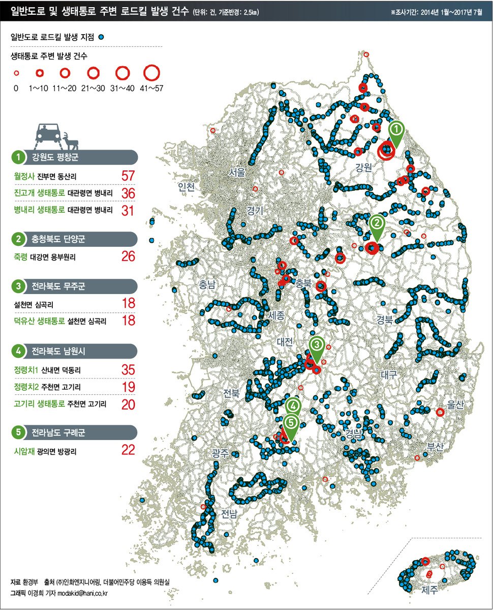 전국 로드킬 지도