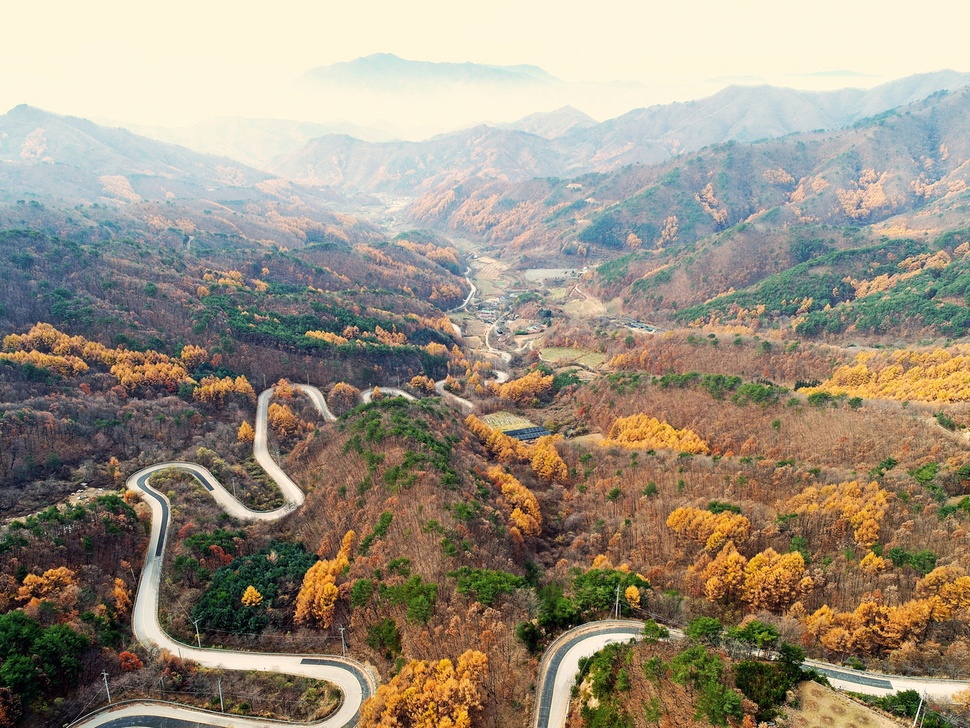 가을이 도마령에 걸렸다. 형형색색 단풍을 데려온 가을은 스물네 굽이 고개를 끝내 넘지 못했다. 칼 찬 장수가 말을 타고 간신히 넘은 도마령(840m)엔 가을이 머물고 있다. 충북 영동 상촌면 고자리와 용화면 조동리 사이 도마령에 가면 가을을 만날 수 있다. 오윤주 기자 sting@hani.co.kr, 사진 영동군청 제공