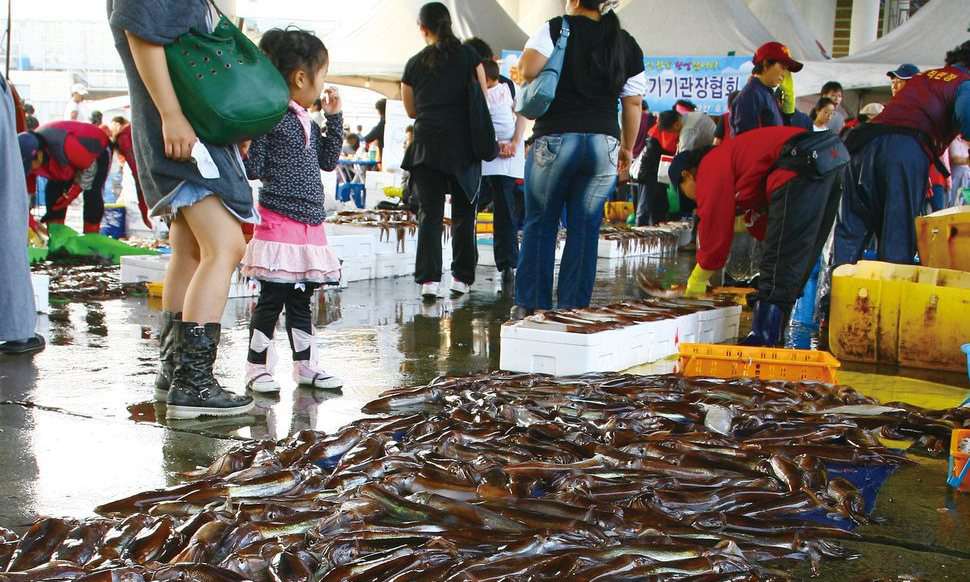 ‘씨 마른’ 오징어…극장서 ‘버터구이 오징어’ 먹기 힘들어진다