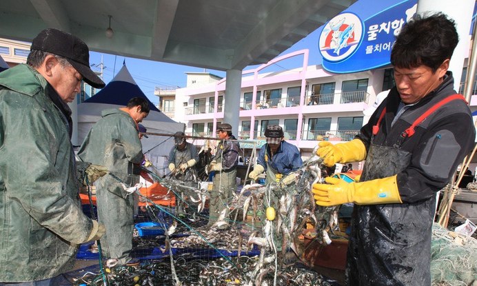 ‘말짱 도루묵이 아니래요” 양양 물치항 도루묵 축제 개막