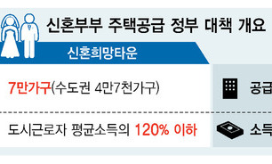 연소득 7천만원 넘는 신혼부부, 주택공급 소득기준 ‘불만’