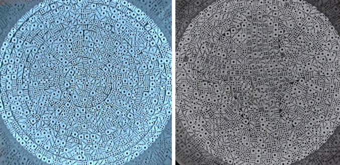 일정 속도 이상으로 좌우 회전을 할 때 육면체 주사위들은 동심원을 지닌 완전 정렬 상태가 됐다(왼쪽). 회전 속도가 느리면 완전 정렬에 이르지는 못했다. PRL 제공
