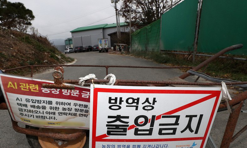 조류 인플루엔자 확산 우려…자치단체들 해넘이 축제 등 취소 