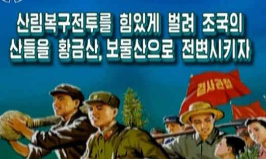 북의 시장화와 산림지원 및 협력을 위한 새로운 전략 