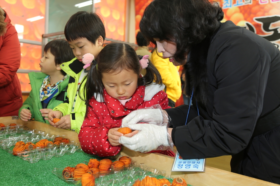 영동 곶감축제장을 찾은 어린이가 쫀득한 영동 곶감을 만져보고 있다.영동군청 제공