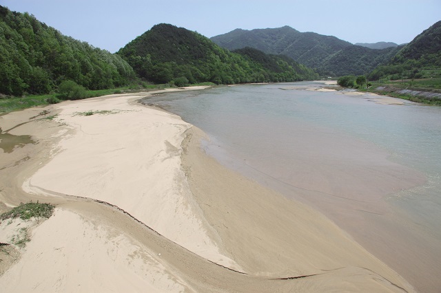 4대강 사업의 일환인 영주댐 공사가 시작되기 전 내성천 모습. 대표적인 모래강으로 모래 알갱이의 세균이 탁월한 정화 기능을 발휘했다. 박은선 제공.