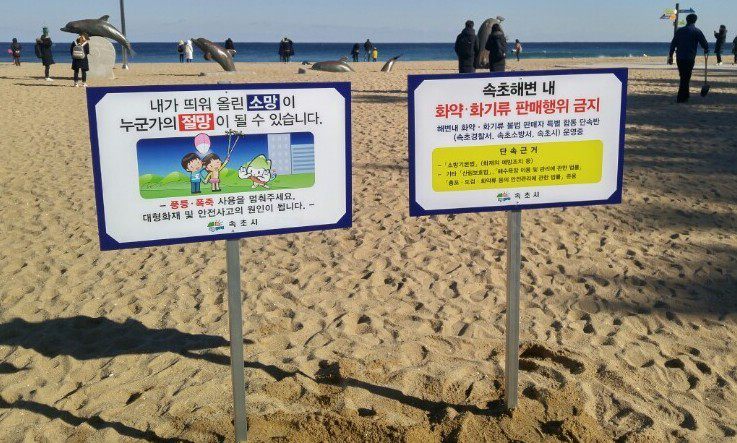 무심코 띄운 소망이 누군가의 절망…해맞이 ‘풍등’ 날리지 마세요