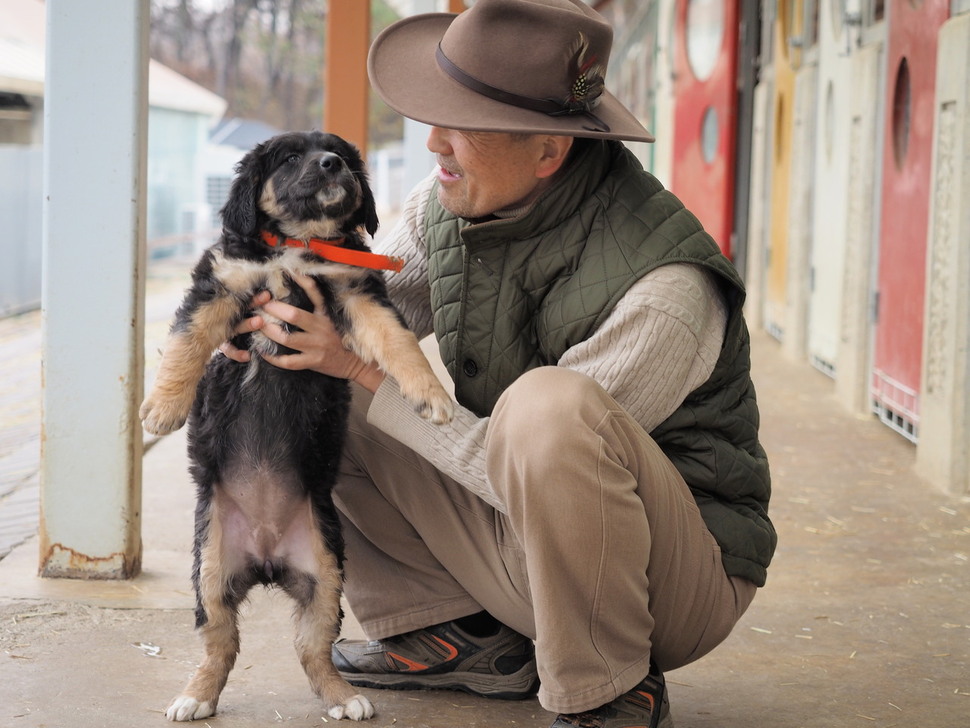 복원한 어린 바둑이.