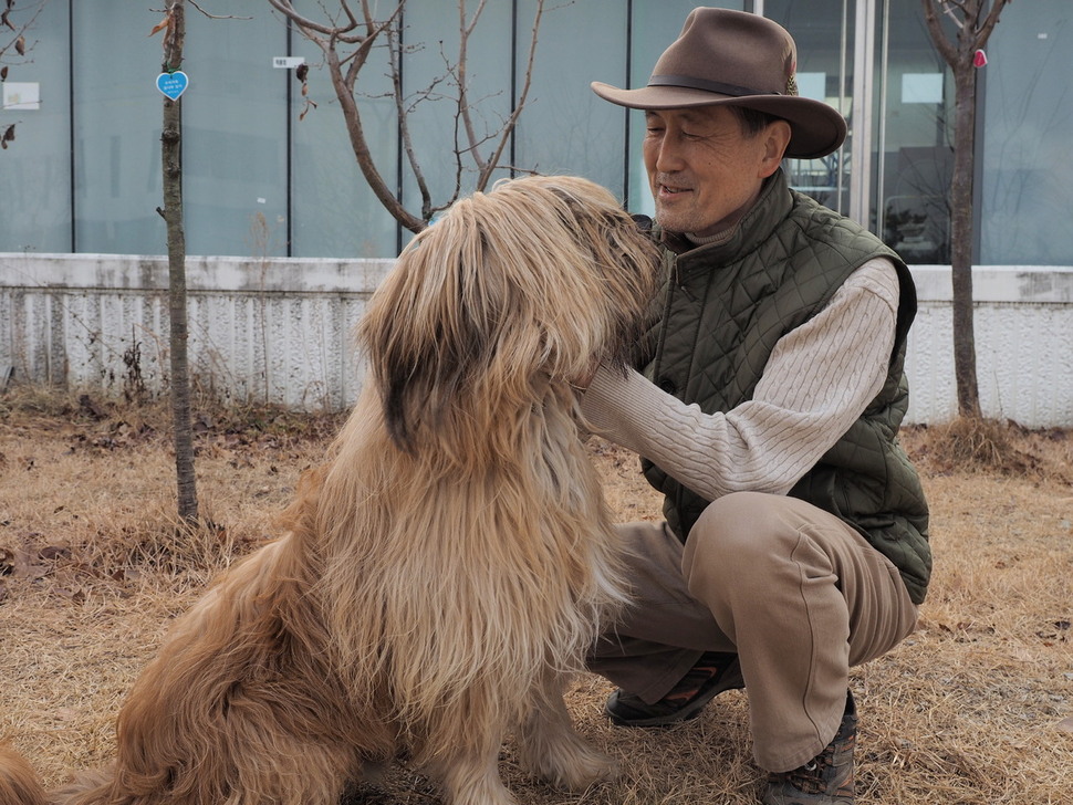 경북 경산시 삽살개연구소에서 복원한 삽살개. 신라 때까지는 단일 품종이 있었을 것으로 추정되지만 이후 1천년 이상 잡종화가 진행돼 토종개 유전자를 오롯이 간직한 개로 주목받고 있다.