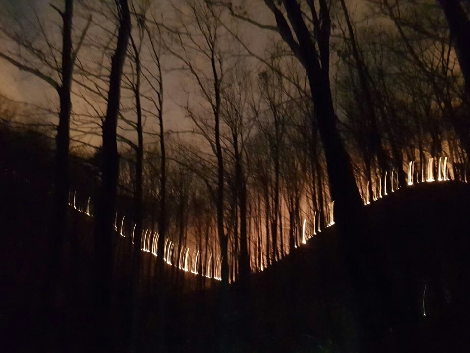 지난 1일 밤 9시46분께 부산 기장군 장안읍 삼각산에서 불이 났다. 소방당국은 헬기를 투입해 진화 작업을 벌이고 있다. 부산시소방안전본부 제공