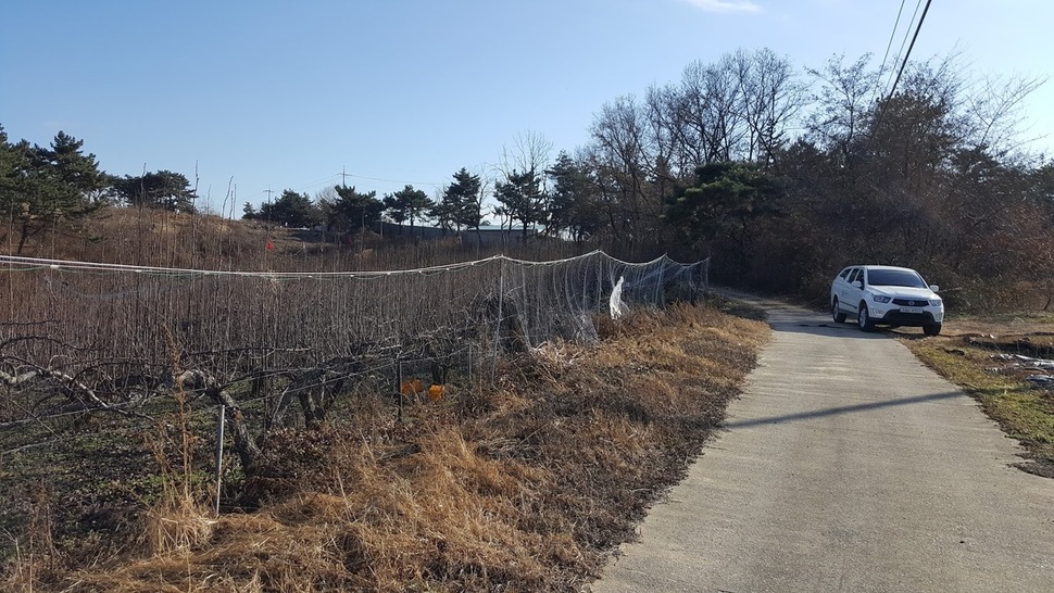 아랫부분이 거의 말려 올라가 야생동물을 막는데 아무런 쓸모가 없는 상태인 밭 그물.