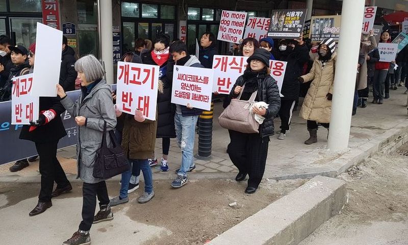 모란시장 개 도살시설 철거 제동…법원 판결 ‘후폭풍’