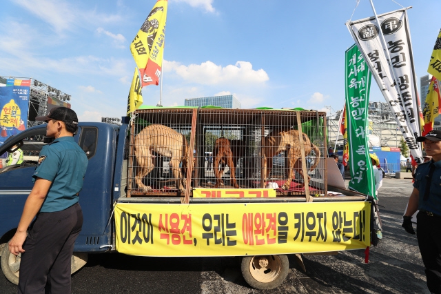 대한육견협회 회원들이 ‘개고기 합법화'를 촉구하는 집회를 연 뒤 청와대 방향으로 행진하고 있다. 이날 집회에는 뜬장에 갇힌 9마리의 대형 도사혼합견이 동원됐다. 김정효 기자