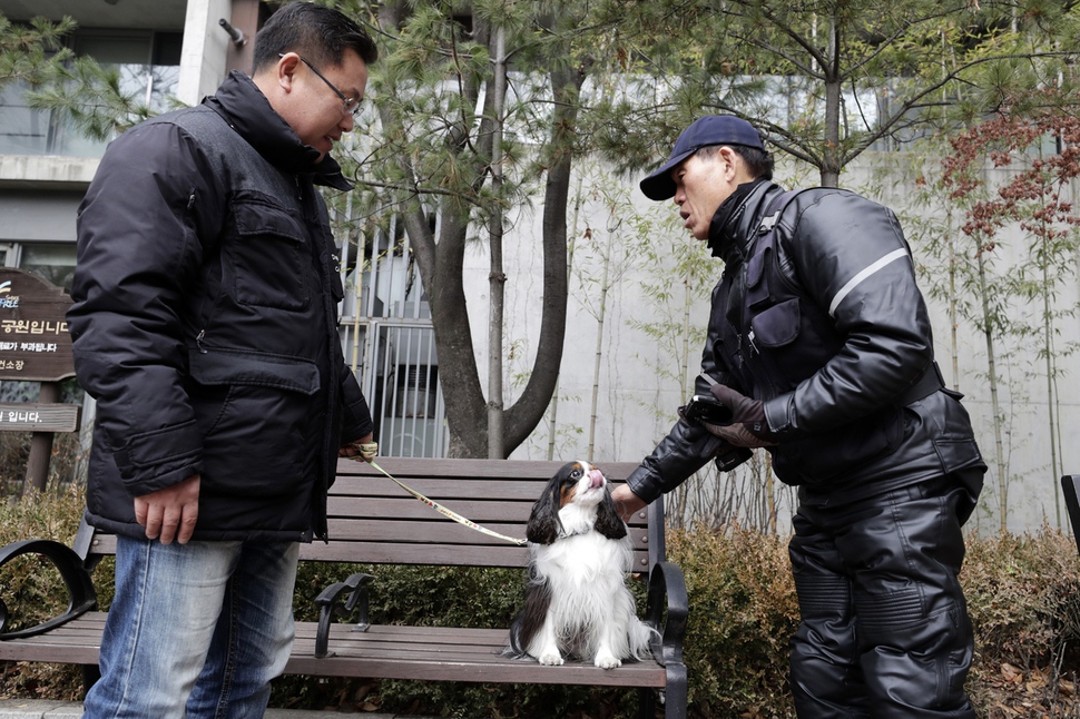 전찬한 이리온동물병원 이사(왼쪽)가 지난달 23일 오전 서울 강남구 청담동 한 공원에서 남성에게 경계심이 강한 미키를 훈련하고 있다. 낯선 사람을 만나도 짖거나 무는 행동을 하지 않는 법을 배웠다. 김명진 기자 littleprince@hani.co.kr