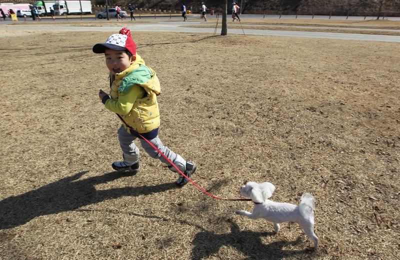 한겨레 자료사진