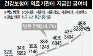 ‘중병은 큰 병원서, 잔병은 작은 병원서’ 합의 실패