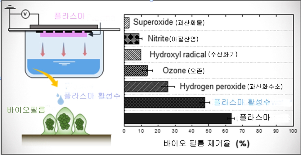 플라스마와 플라스마 활성수로 바이오필름이 제거되는 비율. 카이스트 제공