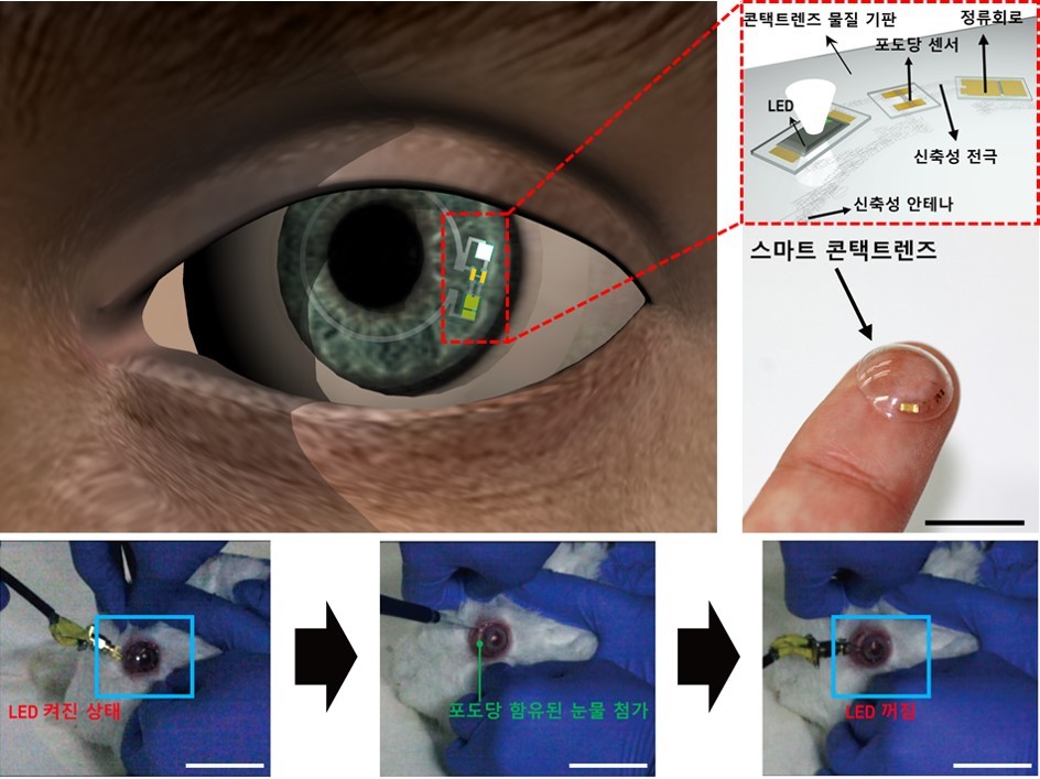 안테나-정류회로-포도당센서-LED 디스플레이가 집적화된 스마트 콘택트렌즈 모식도와 실제 스마트 콘택트렌즈 사진(위), 토끼가 렌즈를 착용한 상태에서의 스마트 콘택트렌즈가 구동되는 장면(아래). 유니스트 제공