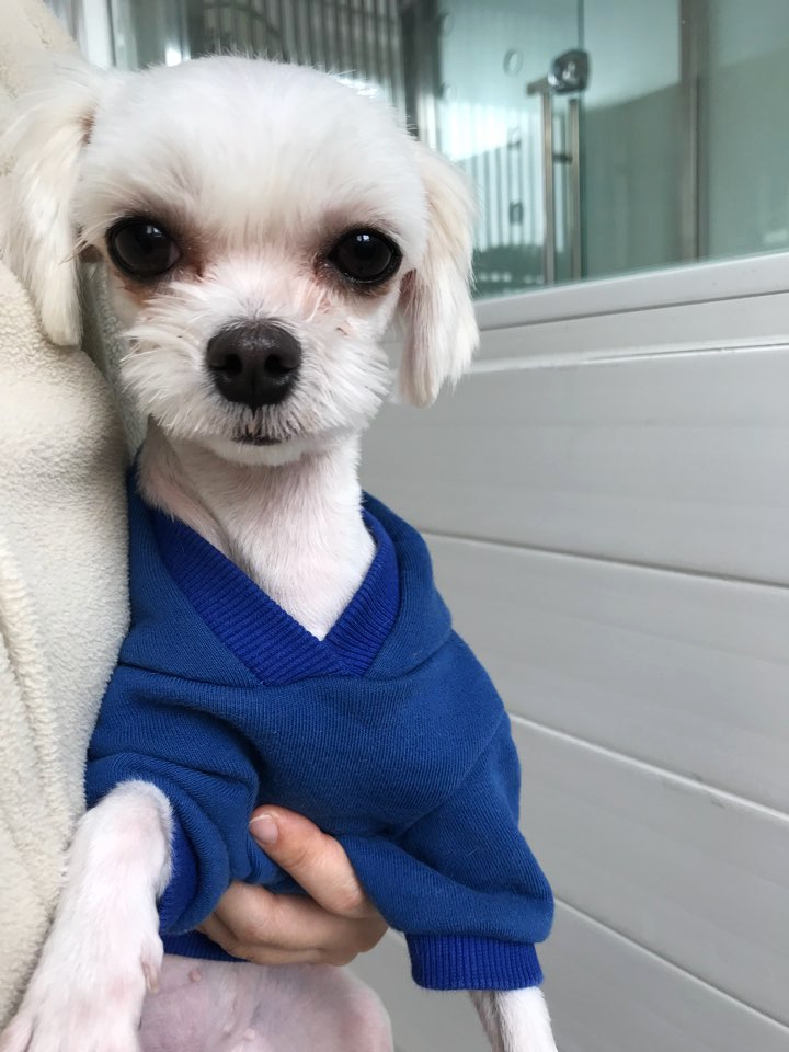 다나(암컷).
