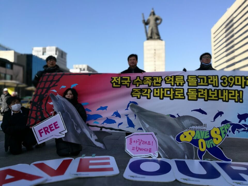 26일 오후 서울 광화문광장에서 환경운동연합 바다위원회 회원들이 돌고래 방류 촉구 기자회견을 열었다. 환경운동연합 바다위원회 제공