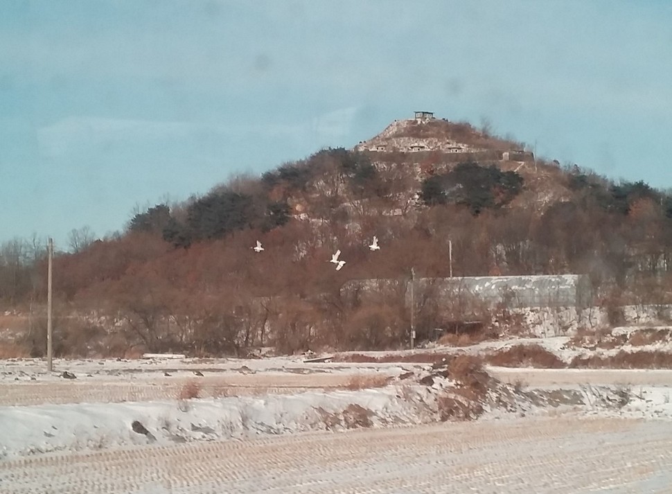 25일 오후 강원도 철원군 민통선 북쪽 철새서식지에서 탐조단을 태운 버스가 지나가는 도로 옆 논 위로 두루미들이 날고 있다.