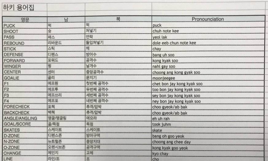 남북 아이스하키 용어 달라도 “‘야!’ ‘얍!’이면 다 통해요”