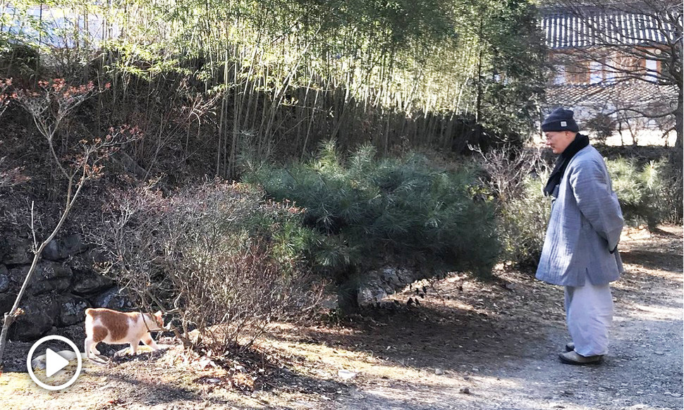 [영상] “키워, 키우라고” 냥이는 스님을 선택했다