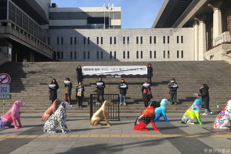 지난 7일 서울 광화문에서 진행된 꽃개프로젝트. 동물해방물결 제공